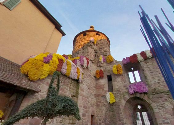 Chrysanthema-Lahr-ab-Ferienwohnung-Haus-No-6 Chrysanthema-Lahr-ab-Ferienwohnung-Haus-No-6