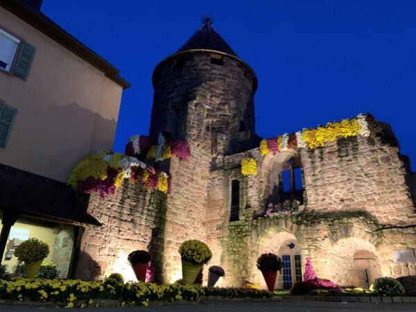 Chrysanthema 2024 - Foto vom Lahrer Storchenturm mit Chrysanthemen bei Nacht 2023