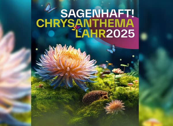 Chrysanthema 2025 in Lahr